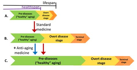  Life Span: What Medicine Can Tell Us about Death and Aging! A Captivating Journey into the Science of Longevity